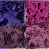 Romance Mini Palette