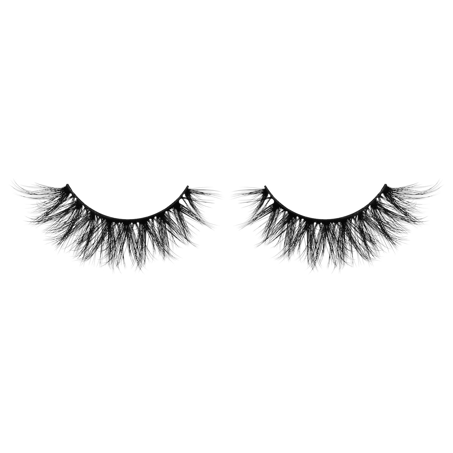 Day To Night Lashes